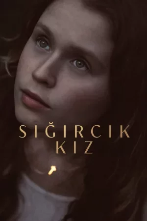 Sığırcık Kız izle