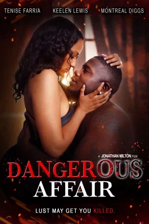 Dangerous Affair izle