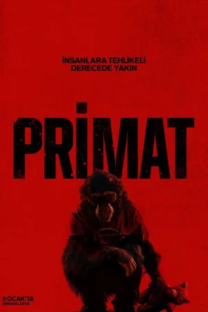 Primat izle